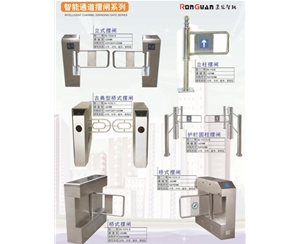 鱼台智能通道摆闸系列
